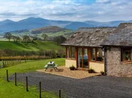 1 bed in Llandefaelog Fach BN055