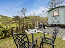 1 Bed in Llanidloes 56492