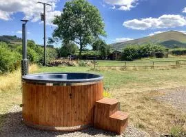 4 Bed in Talgarth BN182