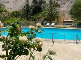 Cabañas Pisco Elqui