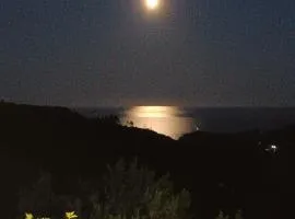 TraMonti e Mare, vista mare giardino, la casa che in ogni stagione si trasforma!