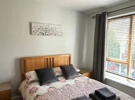 Bright Spacious Apartment