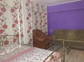 Ultracentral apartament Bacau