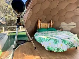 Bubble World Wild Love