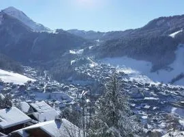 Morzine T2 vue imprenable