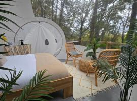La bulle perchée de Chantilly，位于古维约的酒店