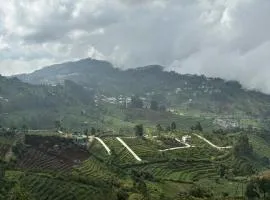 Valley View