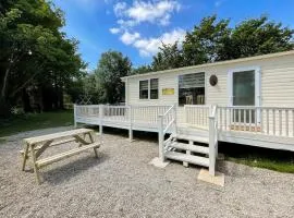 Shirley's Haven - Uk46631