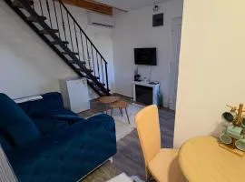 Tiny house 1 - Imanje Terzic