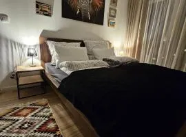 Czarny Słoń - elegancki apartament z klimatem