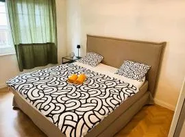 3 Room Old Town Large Flat, Munster
