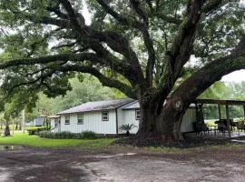 Charming Oak