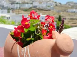 Pension Ilias - Chora Amorgos