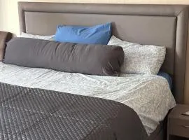 Dream home for tomorrow land