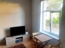 Cozy City Center apartment