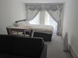 Real Swiss Classic Apartment & Up to 7 Seats Cars Rental Option，位于伯尔尼的酒店