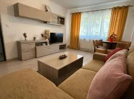 Bella Home, the place to stay in Lugoj