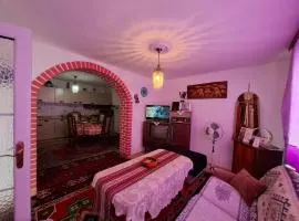 Retro Retreat Izačić