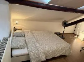 Chambre chez l'habitant 3 - Longwy bas