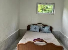 Nanas house