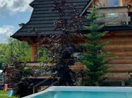 Domki w Białce pod Basenami, 50 m od term i wyciągów