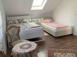 Ferienwohnung in Bad Rappenau