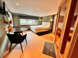 Studio with sauna，位于梅瑟的酒店