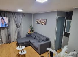 Depto III c&eacute;ntrico RDKL，位于科皮亚波的宠物友好酒店