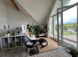 Duplex avec belle vue sur la Moselle，位于雷米希的酒店