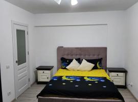 Gara De Nord 3 Rooms Apartment Superb City View，位于布加勒斯特的酒店