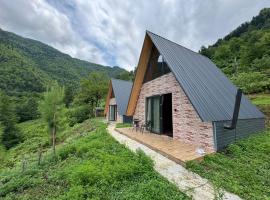 cottage Merisi inn，位于Gundauri的酒店