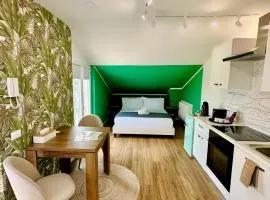 Catullo Loft Near Verona