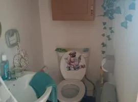 Alex s bed and breakfast