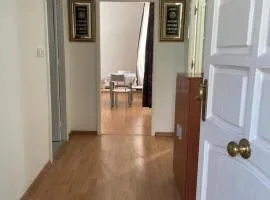 Piso Centrico