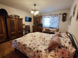 Apartmán ANNA，位于Honice的酒店