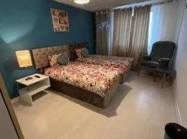 Spacious Room In a Flat Near Southmead Hospital