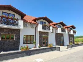 Wellness Penzión Vínny Dom