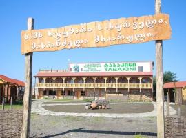 Hotel "Tabakini" resort，位于Sik't'arva的酒店