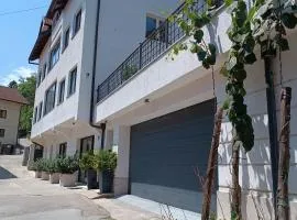 Apartment Stari Pazar 3