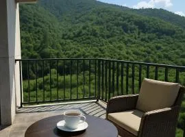 Evergreen Stay Dilijan
