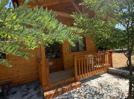 Camping korca，位于戈里察的酒店