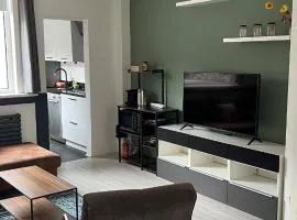 Large Family House Alkmaar