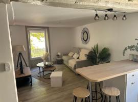 Studio Élégant Roanne，位于罗阿纳的酒店