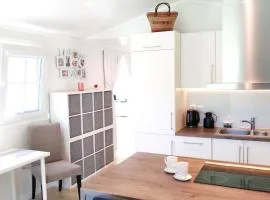 Luxurious Contemporary EkoHus 4Seasons