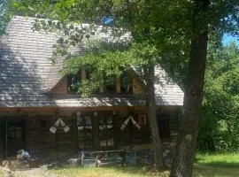 Poiana Creasta Cocoșului-Casa Floarea Soarelui