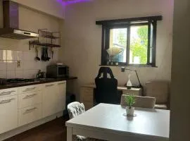 Flat Vida Nova