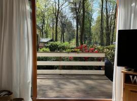 Heerlijk chalet midden op de Veluwe in Hoenderloo，位于洪德洛的酒店