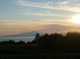 Touch of Alaska Volcano Vista，位于Anchor Point的酒店