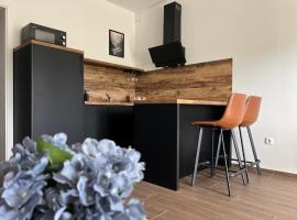 BT Plitvice Holiday，位于艾琳诺瓦克的酒店