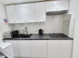 Modern house with back garden Heathrow，位于阿克斯桥的酒店
